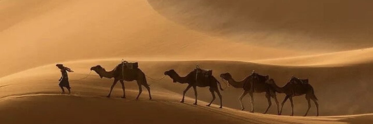 N_sh_99's profile banner image