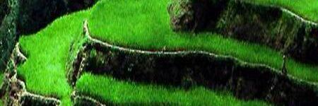 ah16161's profile banner image