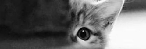 kayader's profile banner image