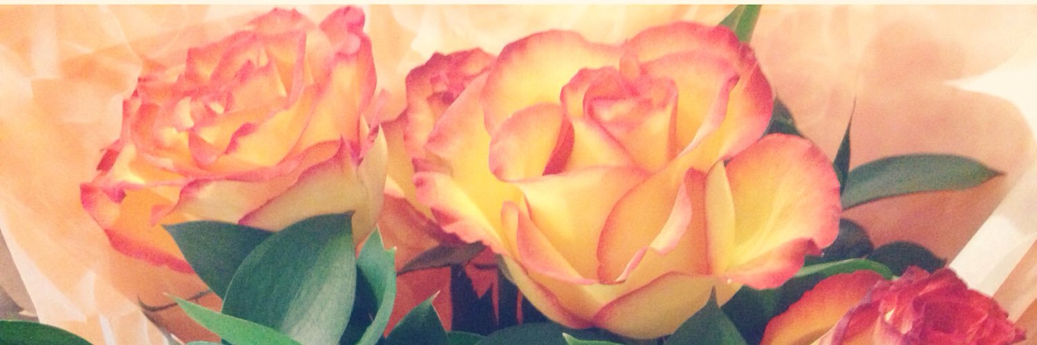 Jelleyphant's profile banner image