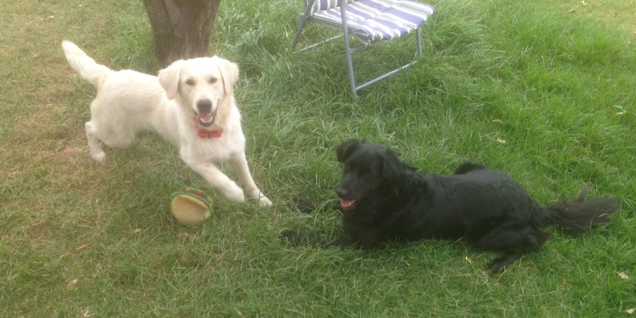 Ben Morris banner
