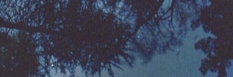 nikitaode's profile banner image