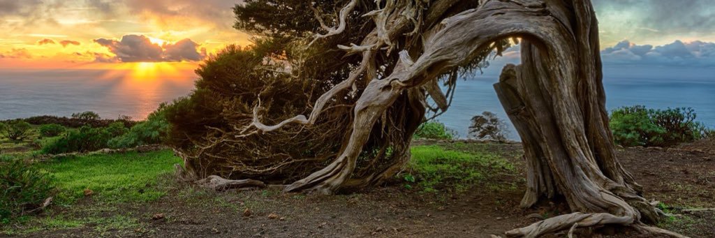 Samuel Padrón Gléz.🇮🇨 banner