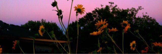 _melissahill's profile banner image