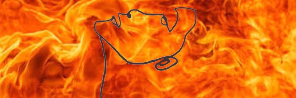 _lopdam's profile banner image