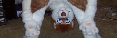 JaseHusky's profile banner image