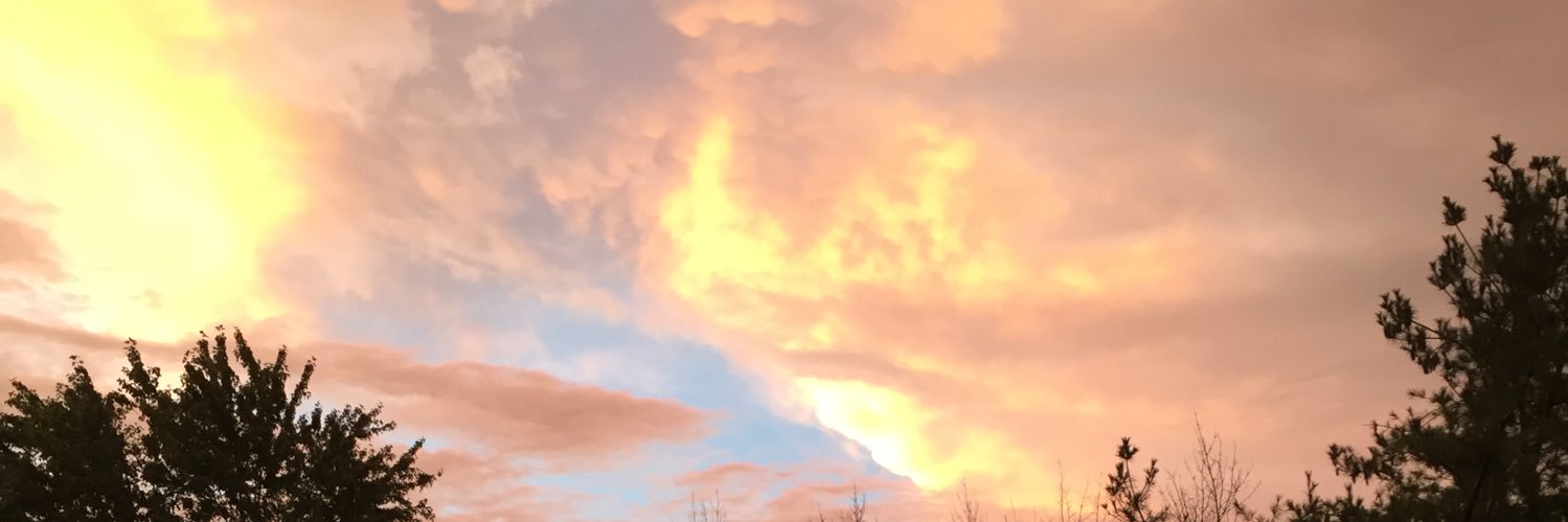mkbliz's profile banner image