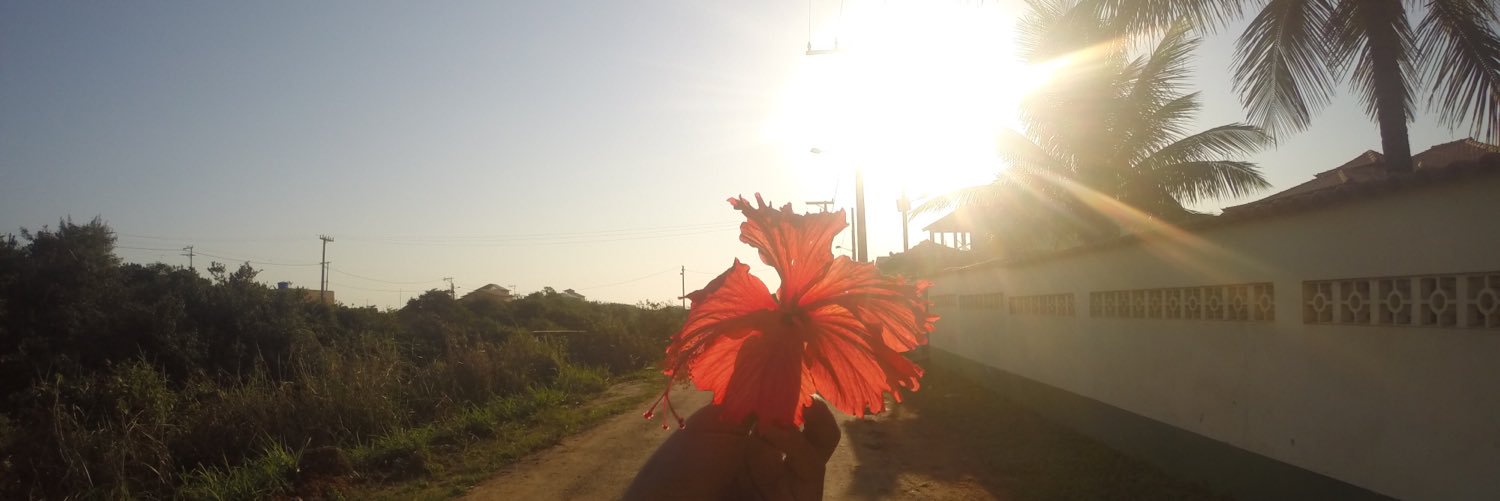 pamdora_'s profile banner image