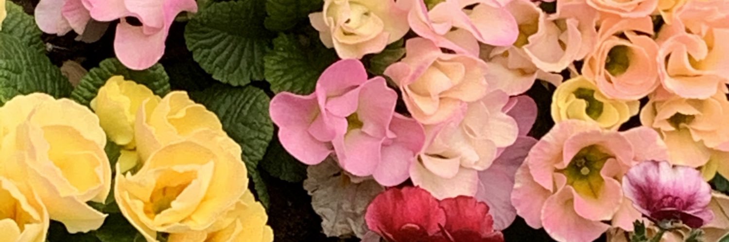 marming5963's profile banner image