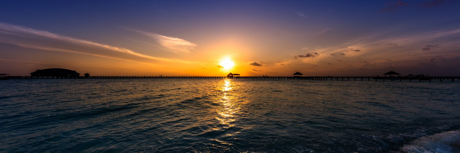 ماجد الحماد banner