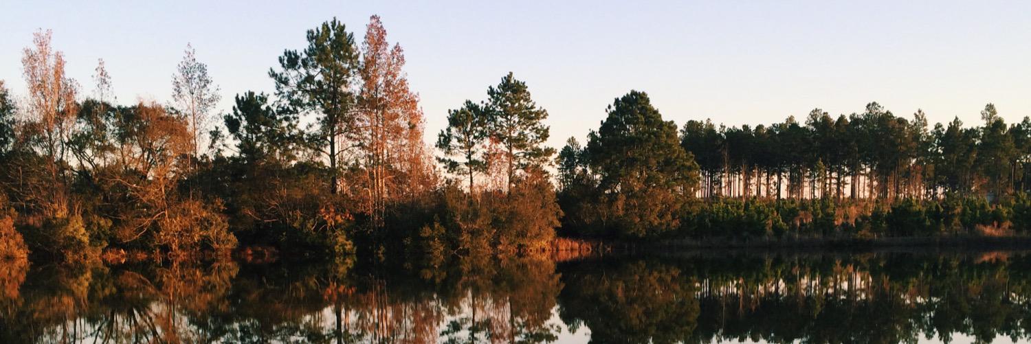 jesslynstanley's profile banner image