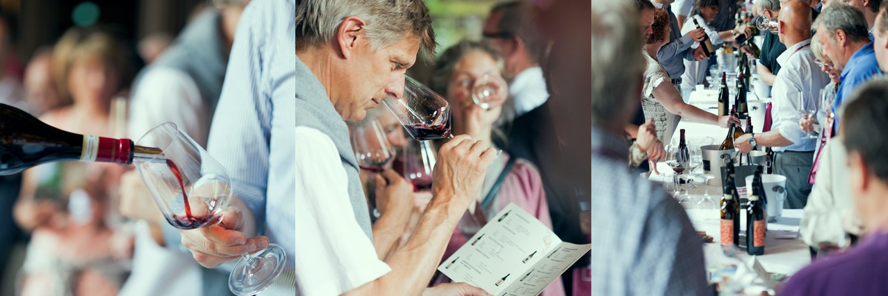 I Vini del Piemonte banner