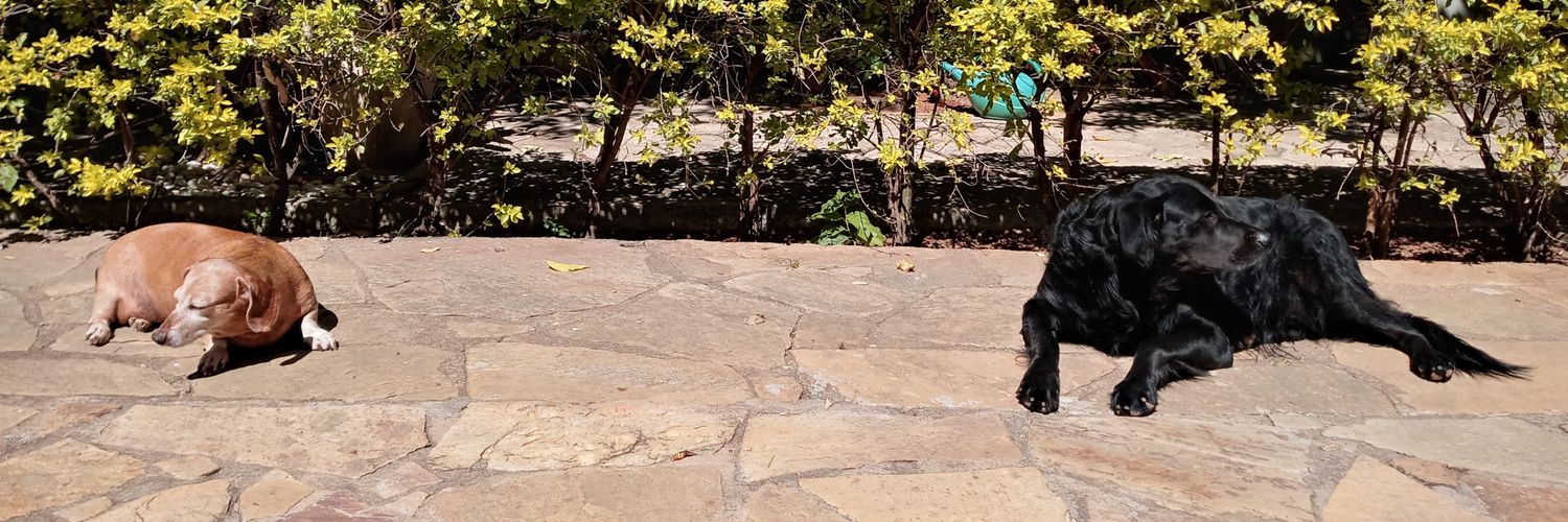 fabianamt's profile banner image
