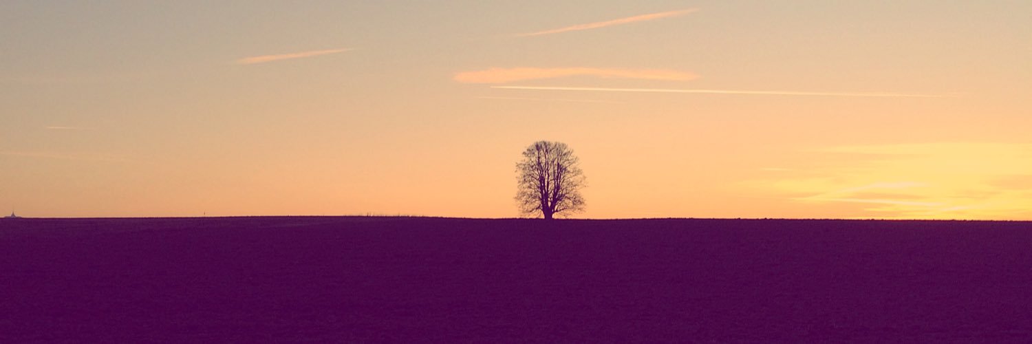 david_hofman's profile banner image