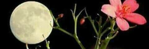 mmb_2012's profile banner image