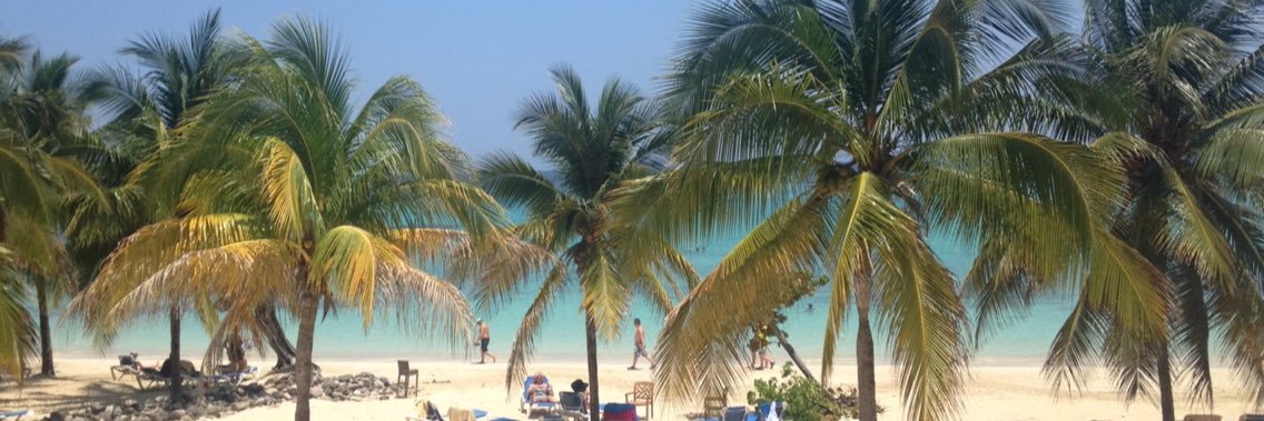 Harry Craddock banner