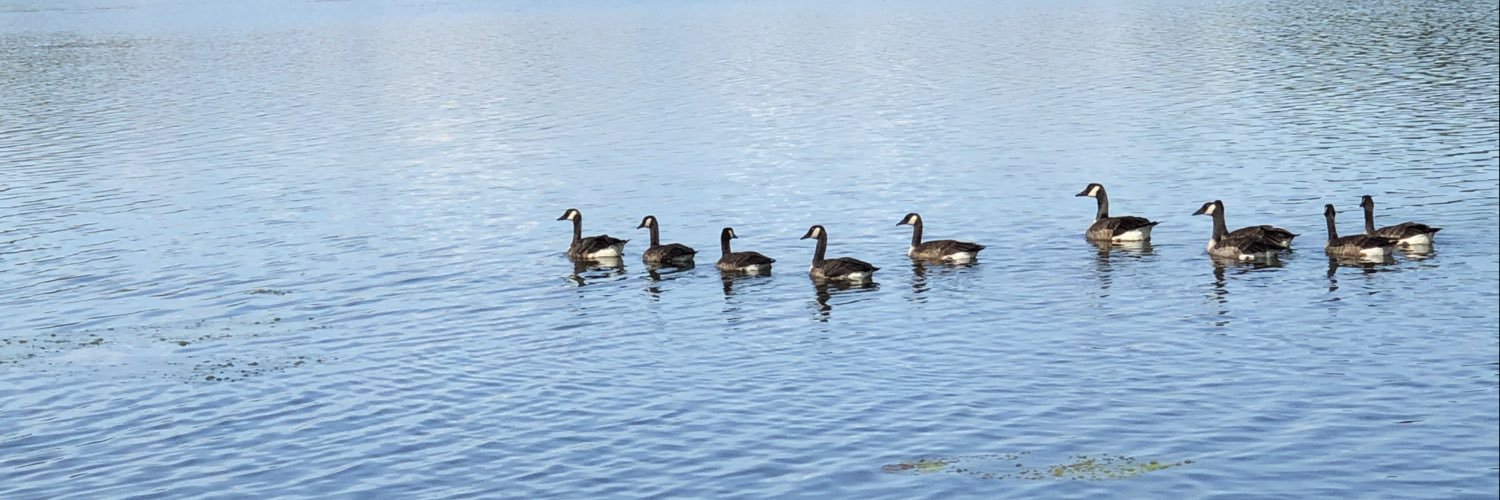 Maryellen Giger banner