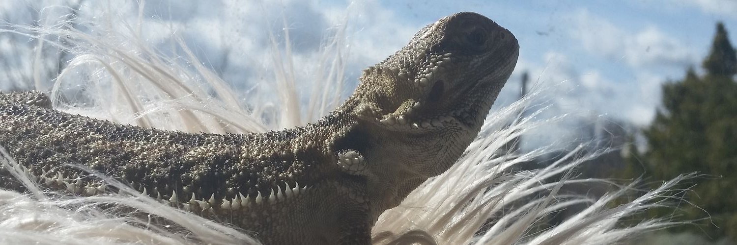 EmmyIsNotaVamp's profile banner image