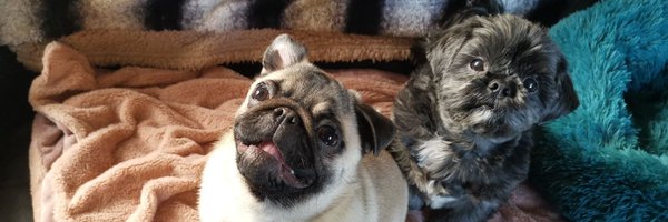 Marline_666 Profile Banner