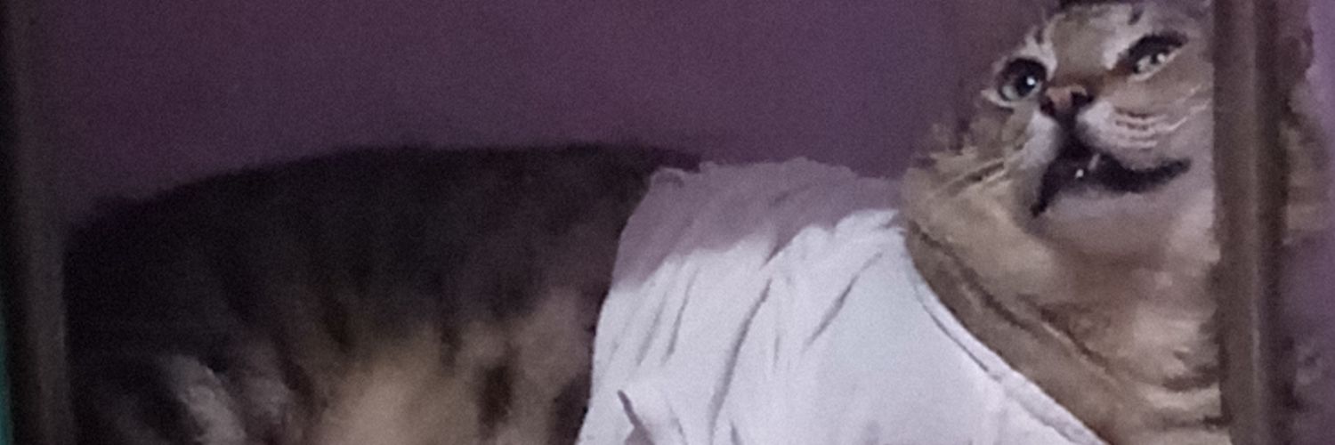 Gaboleya's profile banner image