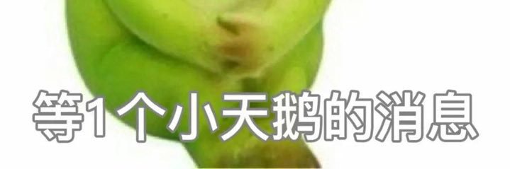 LvyGreen's profile banner image