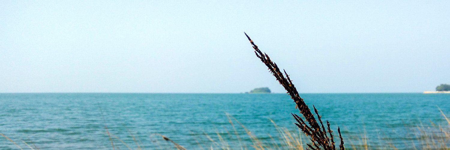 the_obscure_guy's profile banner image