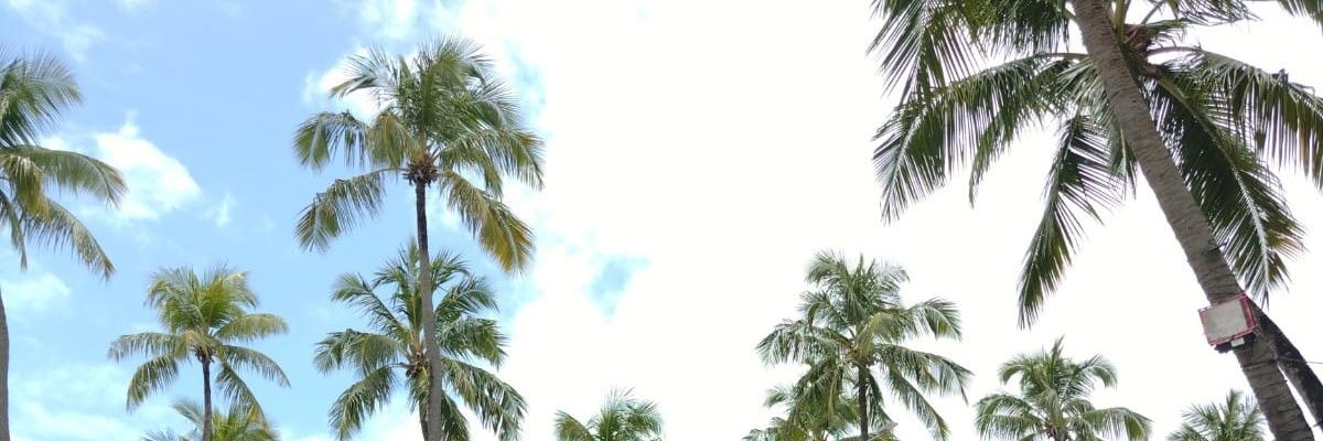 luizcamposmc's profile banner image