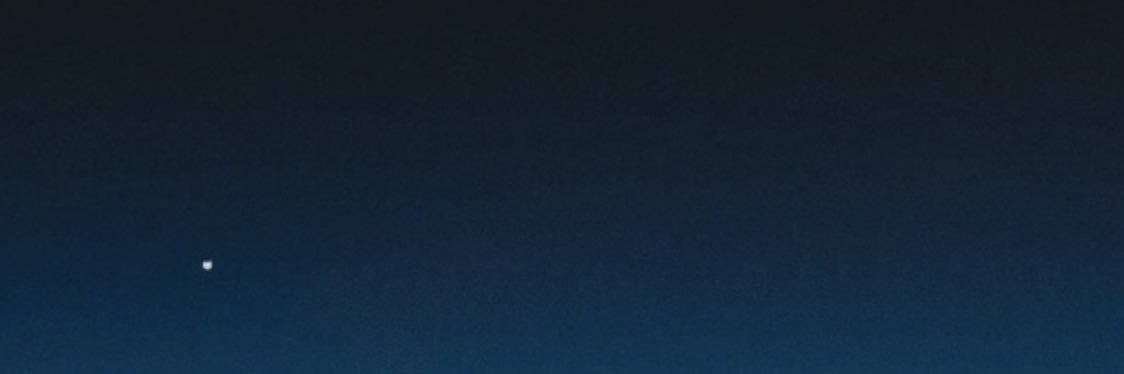 PiccininniSammy's profile banner image