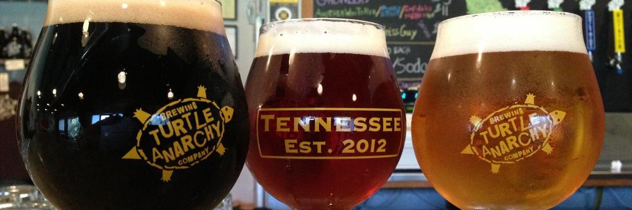 Turtle Anarchy Brew banner