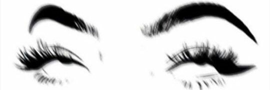 bicamonroe's profile banner image