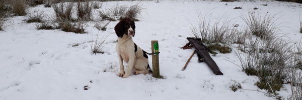 Vicky_Chesters Profile Banner