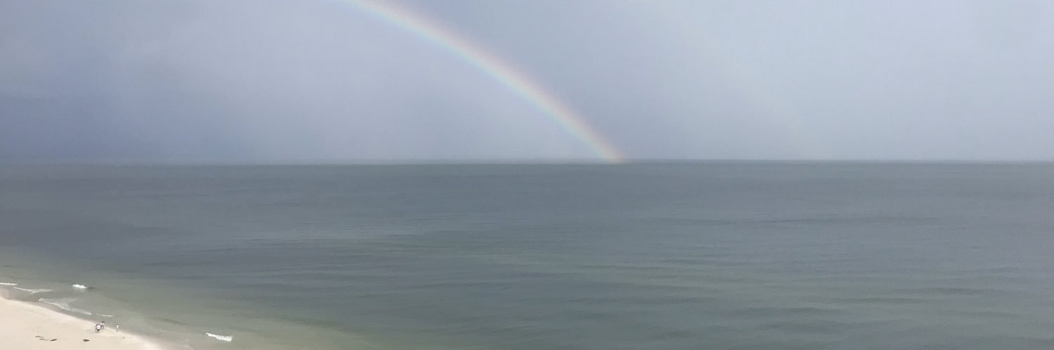 MrsWilksWorld's profile banner image