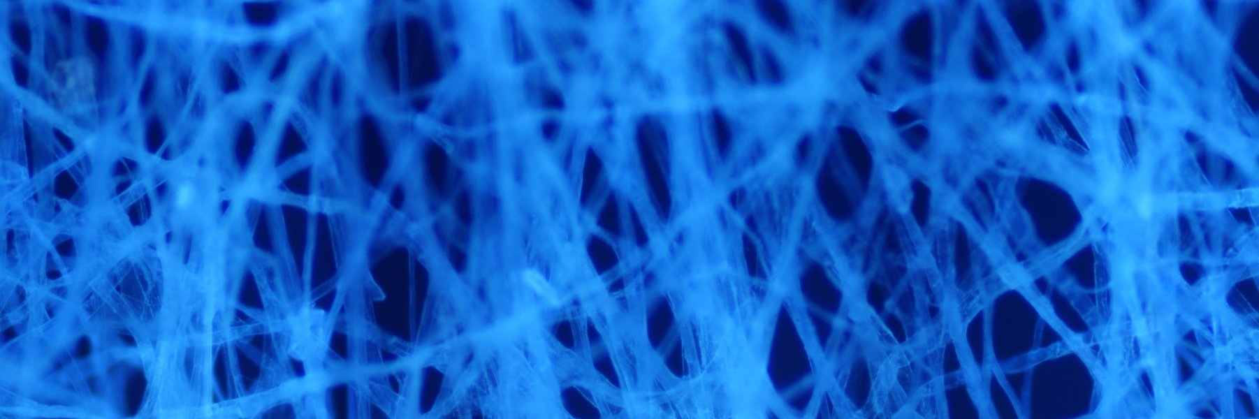 healthytech's profile banner image