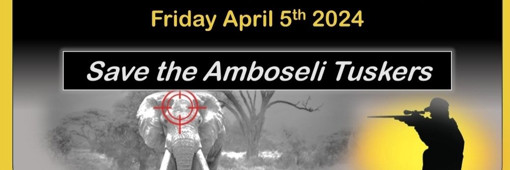 @Miss_Tick@mastodon.world, mistick.bsky.social banner