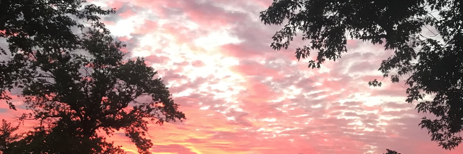 tuna119's profile banner image