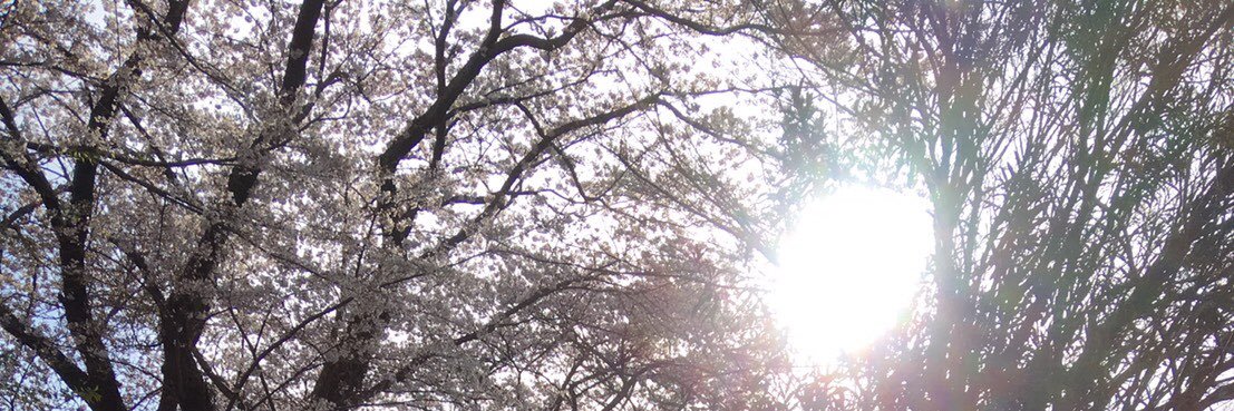 avectendresse's profile banner image