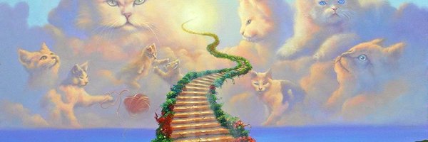 cavecanems Profile Banner