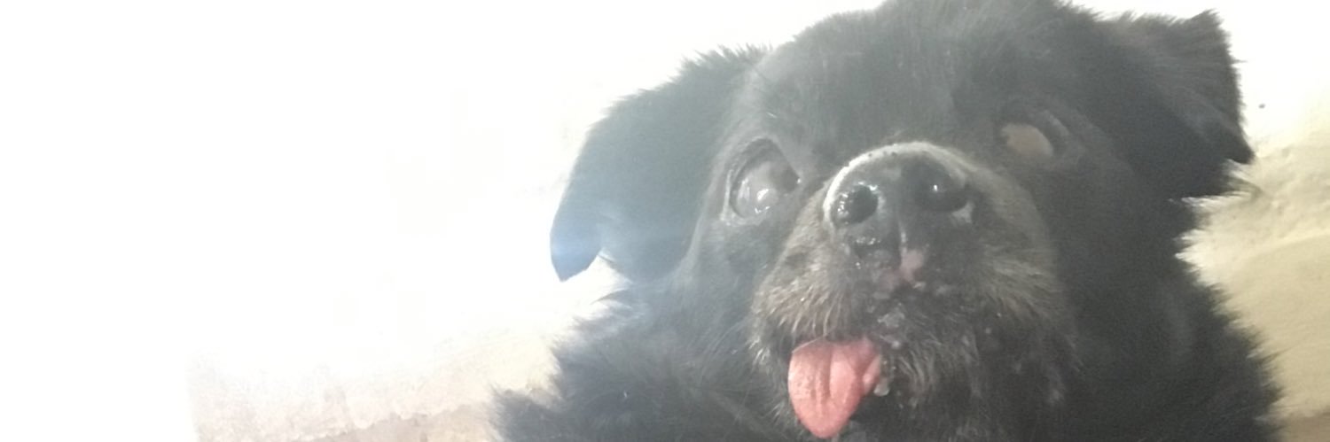 the pit of Philly misery banner