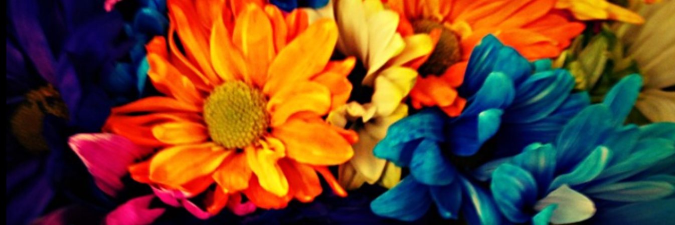 Коньякова Ольга banner