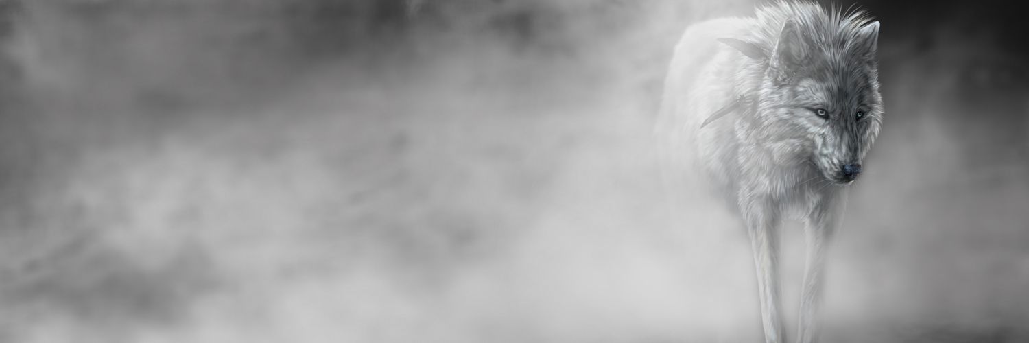 adab430's profile banner image