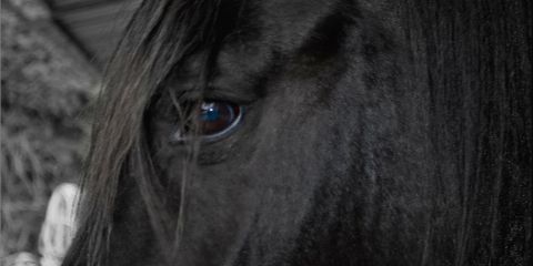 AmandaGm92's profile banner image