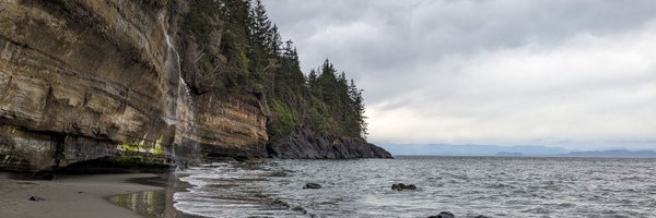 beanstalkim Profile Banner