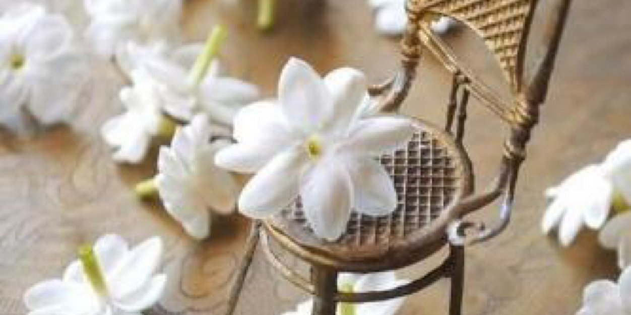 .. .. .. banner