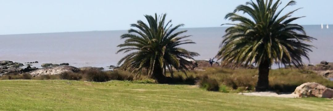 Jorgedotti's profile banner image
