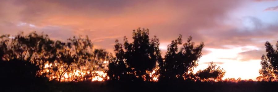 gabo43's profile banner image