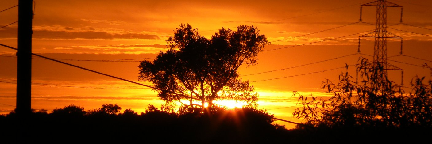 Stephen Lynas banner