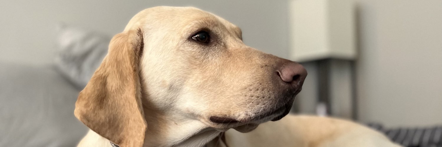 swindelly's profile banner image