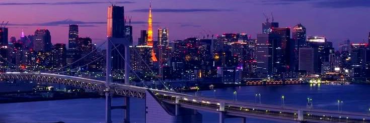 nyanko_da51's profile banner image