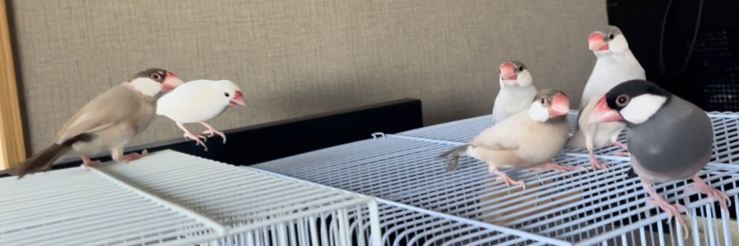 toriesa3's profile banner image