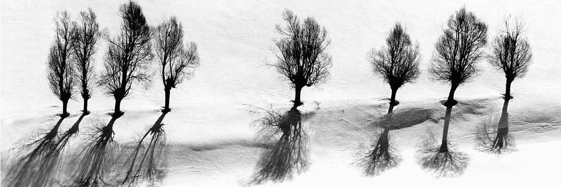 Joseph Zárate banner